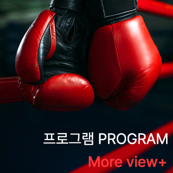 프로그램